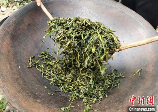 广州增城毛茶制茶技艺成非遗 加强传承保护发展