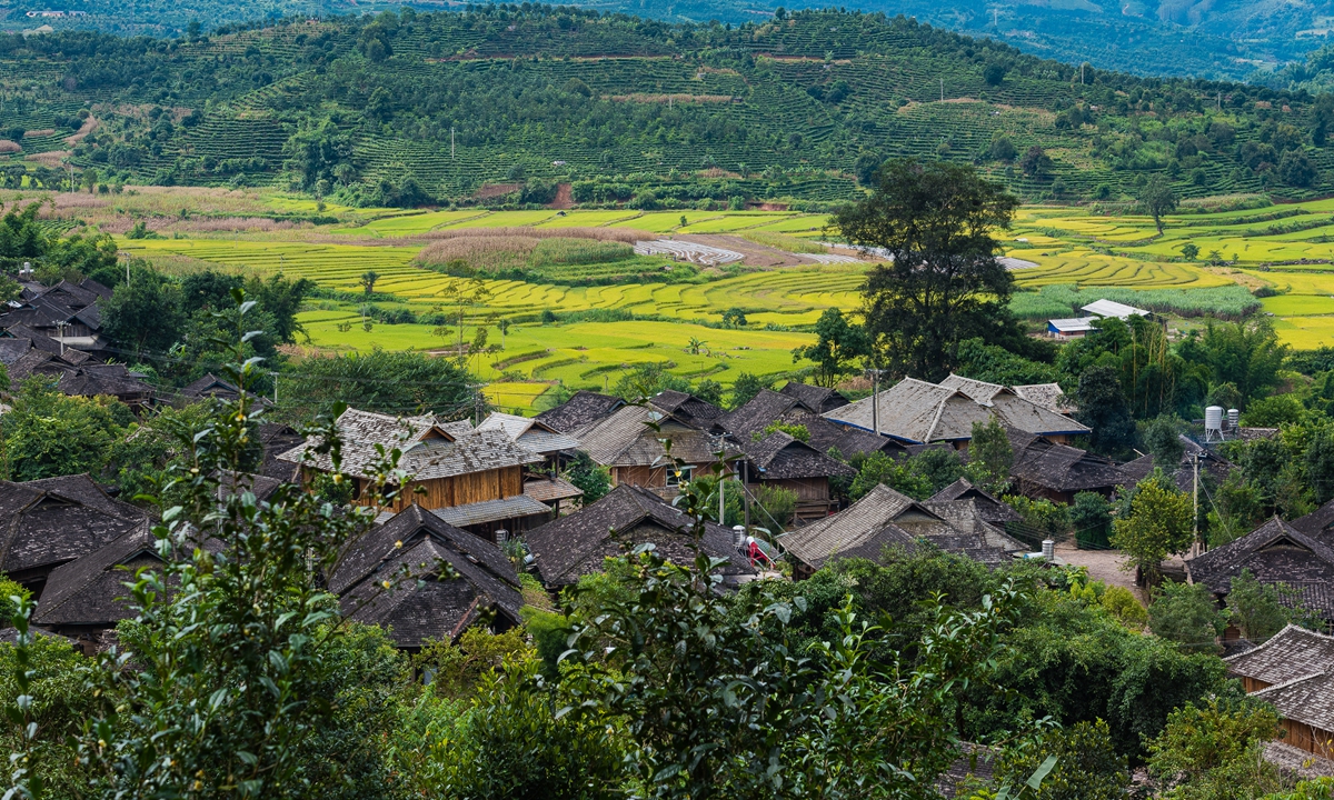 Laodabao village in Pu'er, Southwest China's Yunnan Province Photo: IC