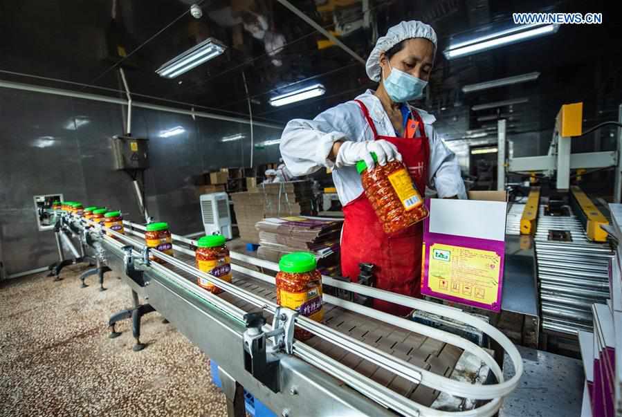 CHINA-GUIZHOU-ZUNYI-CHILI-HARVEST (CN)