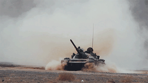 女图6.gif