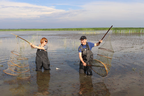 Wetland Guardian Lauded by Internet Tycoons Wetland Guardian Lauded by Internet Tycoons
