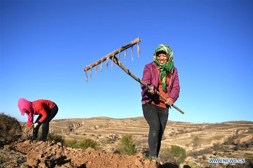 Farmers Benefit from Herb-planting in China's Gansu