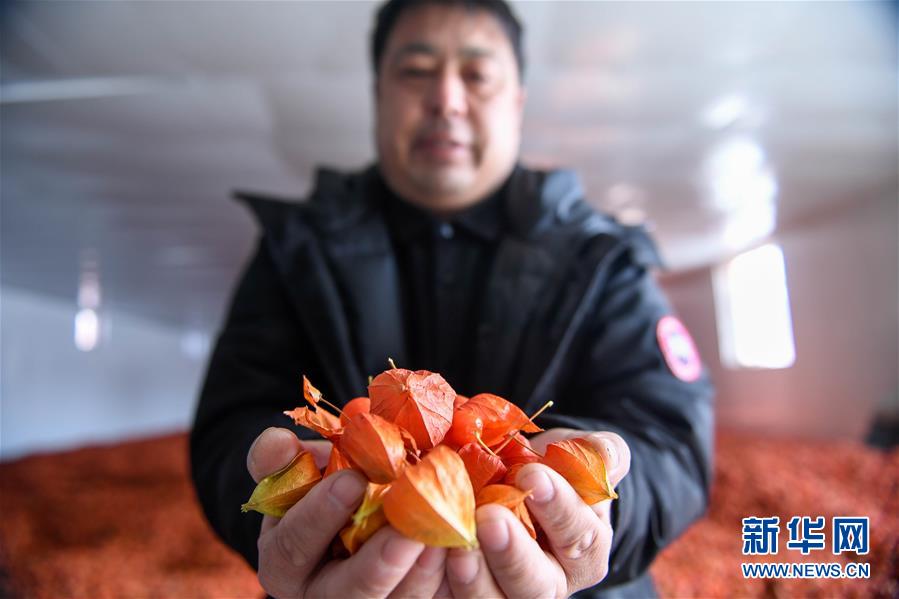 fileImg 1125756405_15849636406831n.jpg